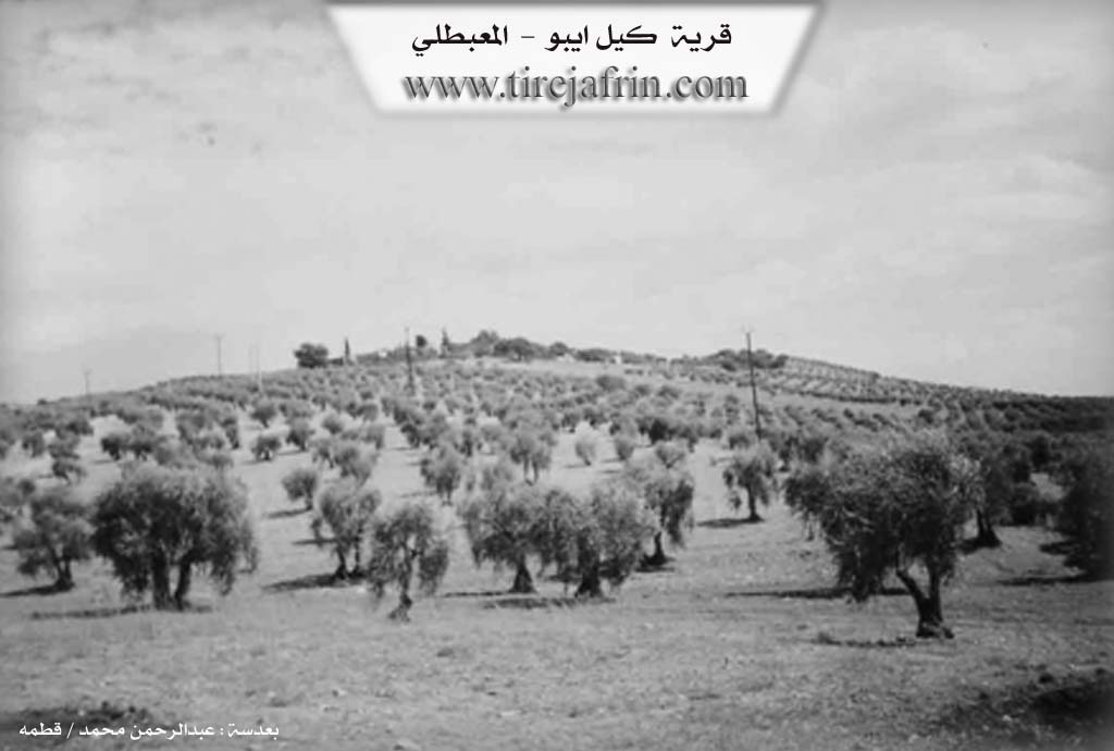 Photo of Kêl Îbo